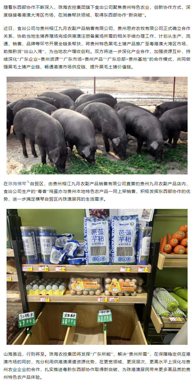 拓展消耗帮扶行动 助推黔货“出山入湾”丨食出公司推进粤黔工具部协作取得新突破.png